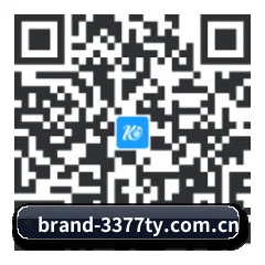 iPad 高清版 二维码